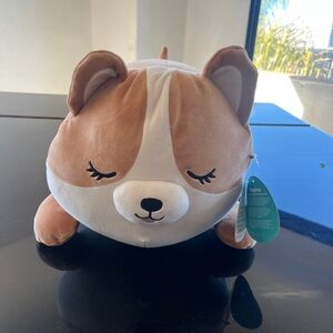 Squishmallows 18" Large Plush Regina Brown and White Corgi
Sleepamallows
